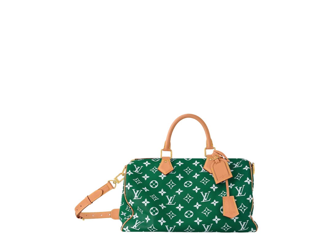 Louis Vuitton Louis Vuitton Speedy Handbag P9