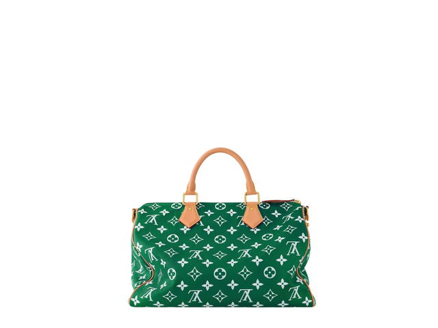 Louis Vuitton Louis Vuitton Speedy Handbag P9 - view 2
