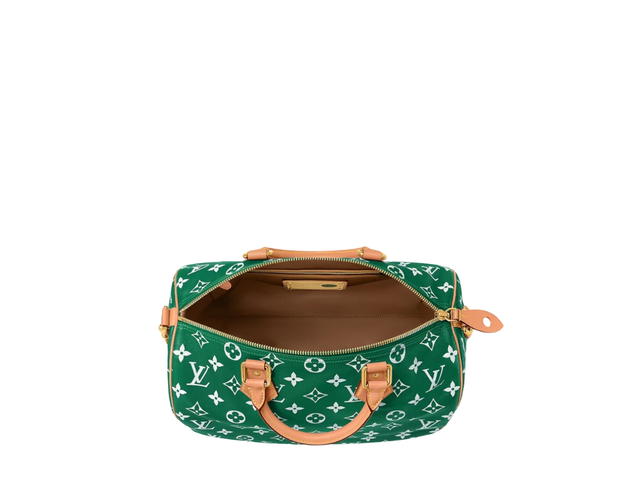 Louis Vuitton Louis Vuitton Speedy Handbag P9 - view 4