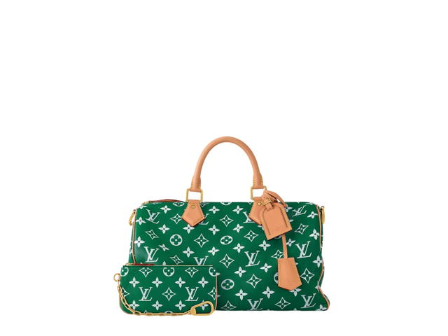 Louis Vuitton Louis Vuitton Speedy Handbag P9 - view 5