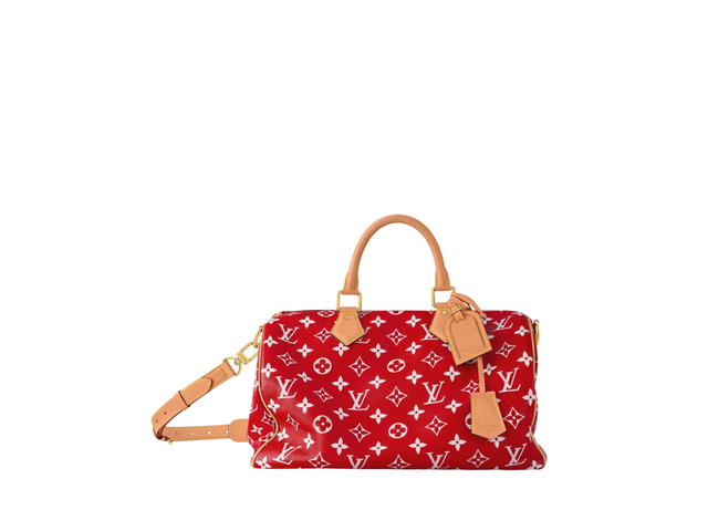 Louis Vuitton Louis Vuitton Speedy Handbag P9 - view 1
