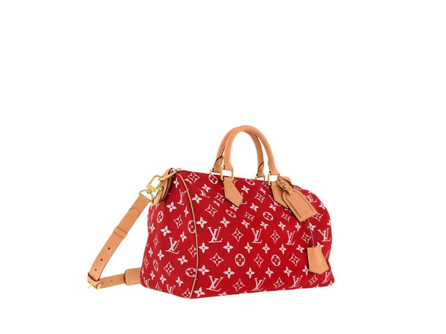 Louis Vuitton Louis Vuitton Speedy Handbag P9 - view 2