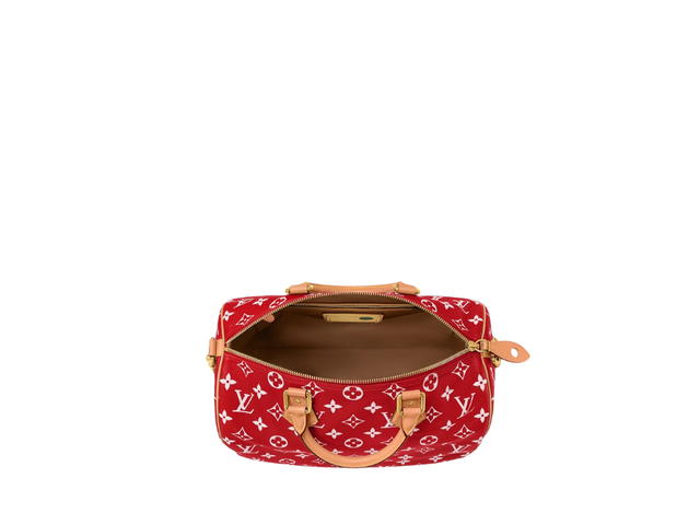 Louis Vuitton Louis Vuitton Speedy Handbag P9 - view 3