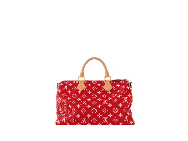 Louis Vuitton Louis Vuitton Speedy Handbag P9 - view 4