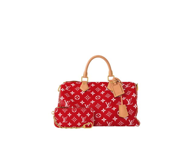 Louis Vuitton Louis Vuitton Speedy Handbag P9 - view 5