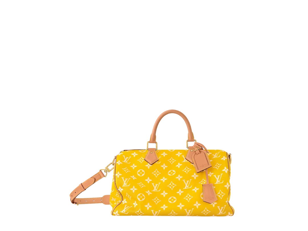 Louis Vuitton Louis Vuitton Speedy Handbag P9