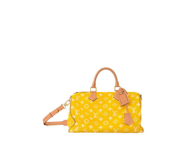 Louis Vuitton Louis Vuitton Speedy Handbag P9 - view 1