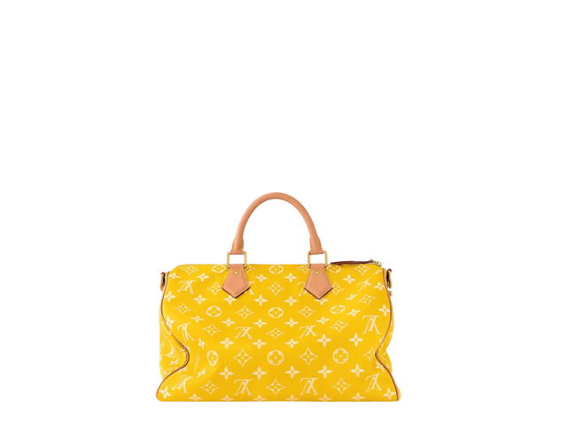 Louis Vuitton Louis Vuitton Speedy Handbag P9 - view 2