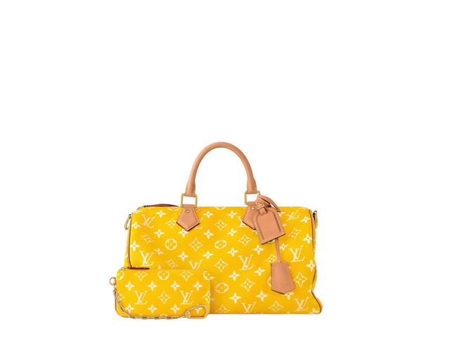 Louis Vuitton Louis Vuitton Speedy Handbag P9 - view 3
