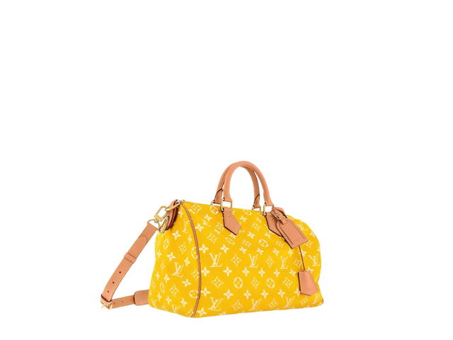 Louis Vuitton Louis Vuitton Speedy Handbag P9 - view 4