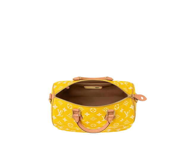 Louis Vuitton Louis Vuitton Speedy Handbag P9 - view 5