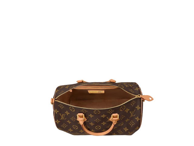Louis Vuitton Louis Vuitton Speedy Handbag P9 - view 5
