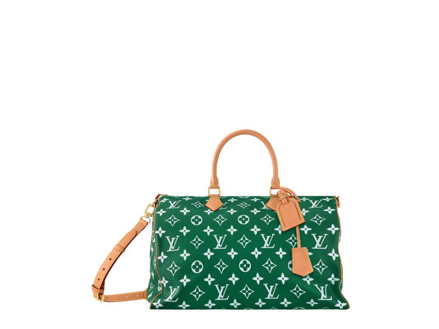 Louis Vuitton Louis Vuitton Speedy Handbag P9 - view 1