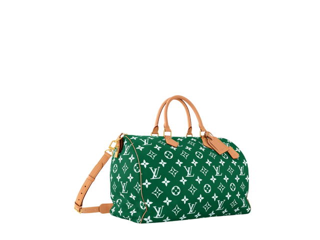 Louis Vuitton Louis Vuitton Speedy Handbag P9 - view 2