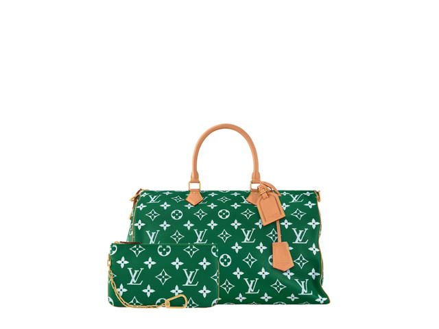 Louis Vuitton Louis Vuitton Speedy Handbag P9 - view 4