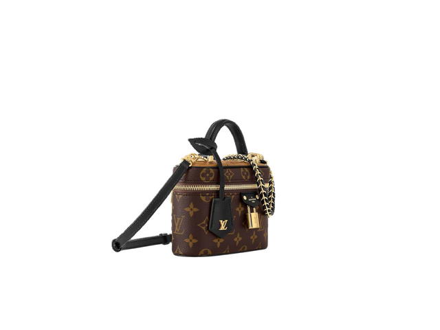 Louis Vuitton Louis Vuitton Vanity Chain Pouch Shoulder Bag - view 2