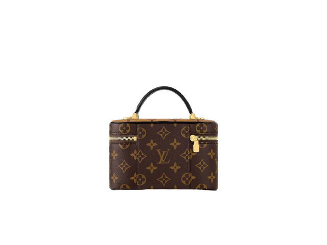 Louis Vuitton Louis Vuitton Vanity Chain Pouch Shoulder Bag - view 4