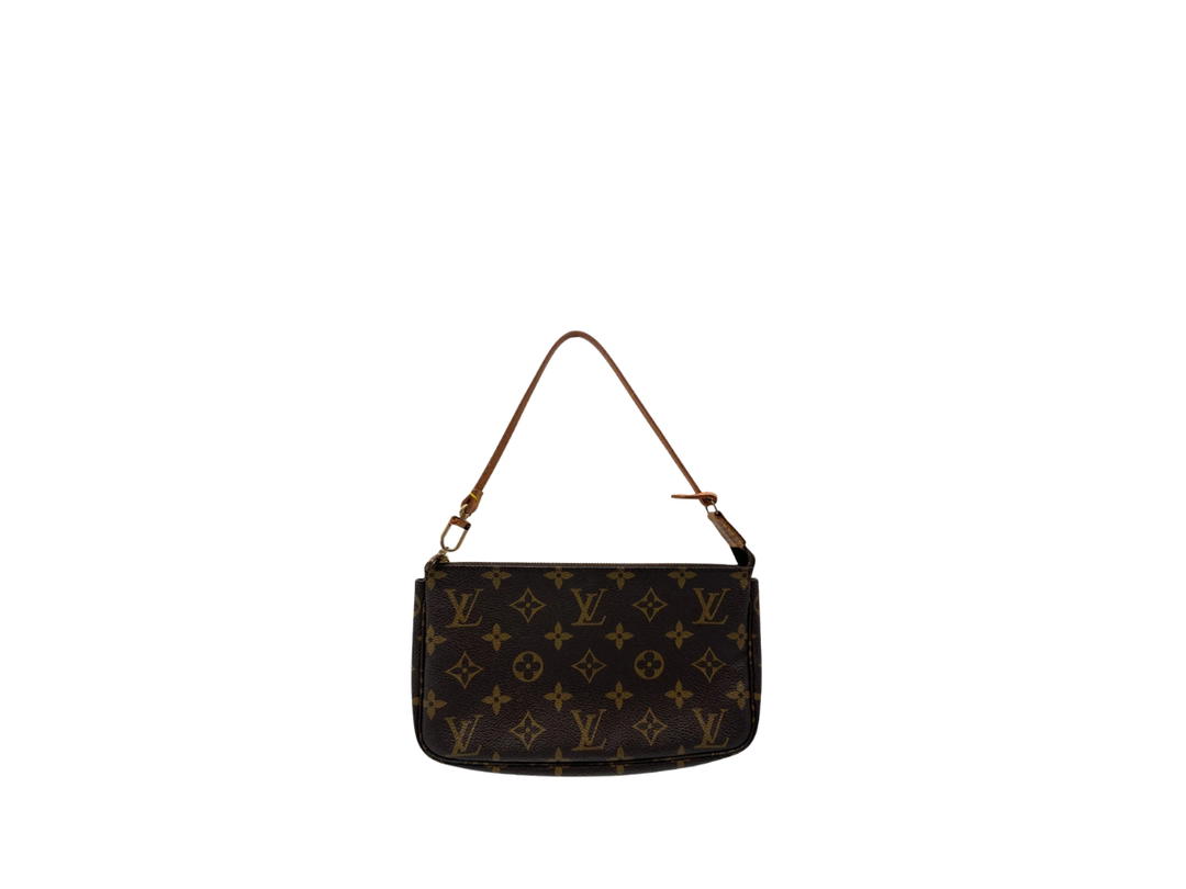 Louis Vuitton Louis Vuitton Pochette Accessoires Bag Brown