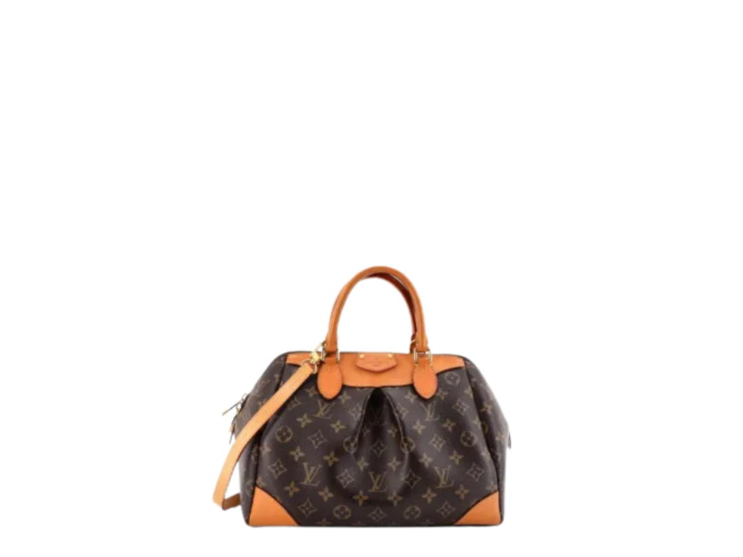Louis Vuitton Louis Vuitton Segur Handbag Brown
