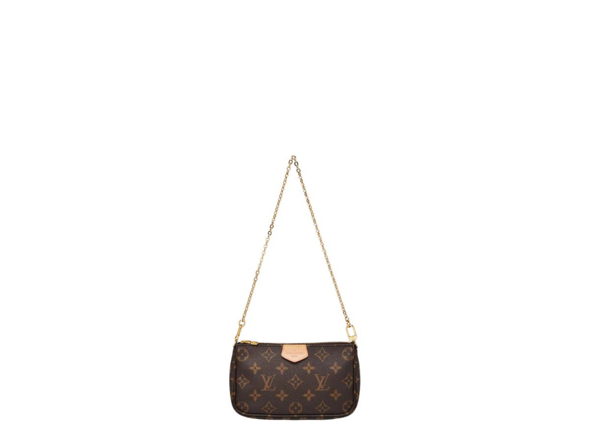 Louis Vuitton Louis Vuitton Pochette Bag Brown