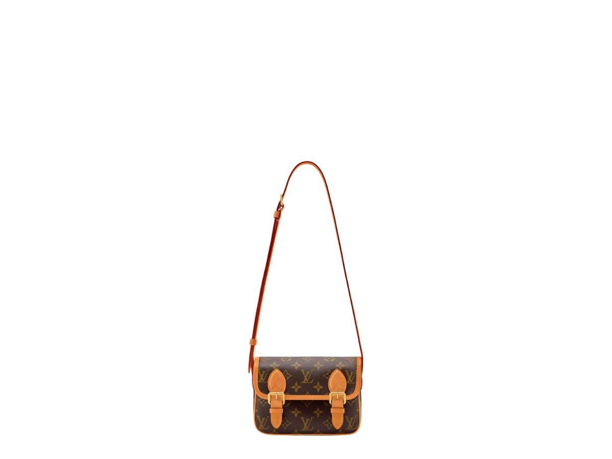 Louis Vuitton Louis Vuitton Satchel Wearable Wallet Brown