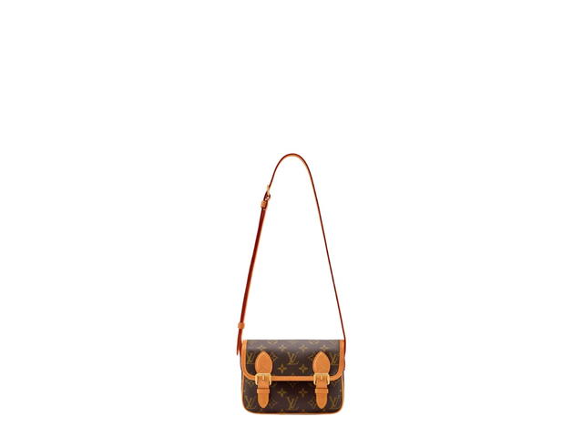 Louis Vuitton Louis Vuitton Satchel Wearable Wallet Brown - view 1