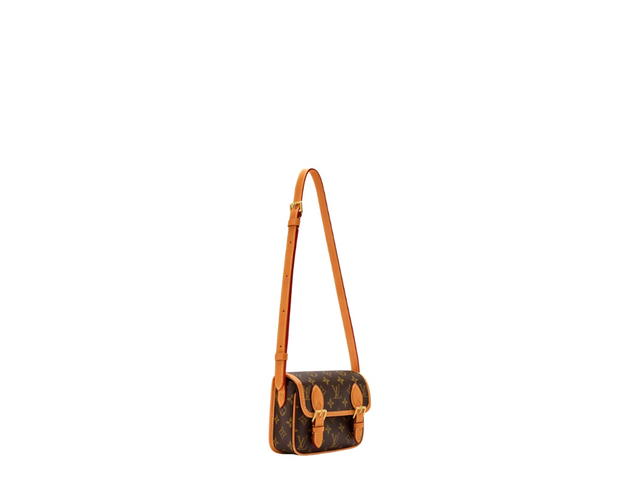 Louis Vuitton Louis Vuitton Satchel Wearable Wallet Brown - view 2