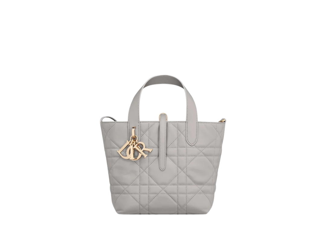 Dior Dior Small Toujours Vertical Tote Bag Gray Macrocannage