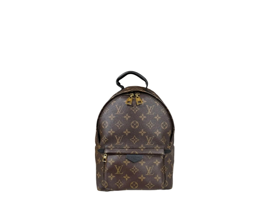 Louis Vuitton Louis Vuitton Palm Springs PM Brown