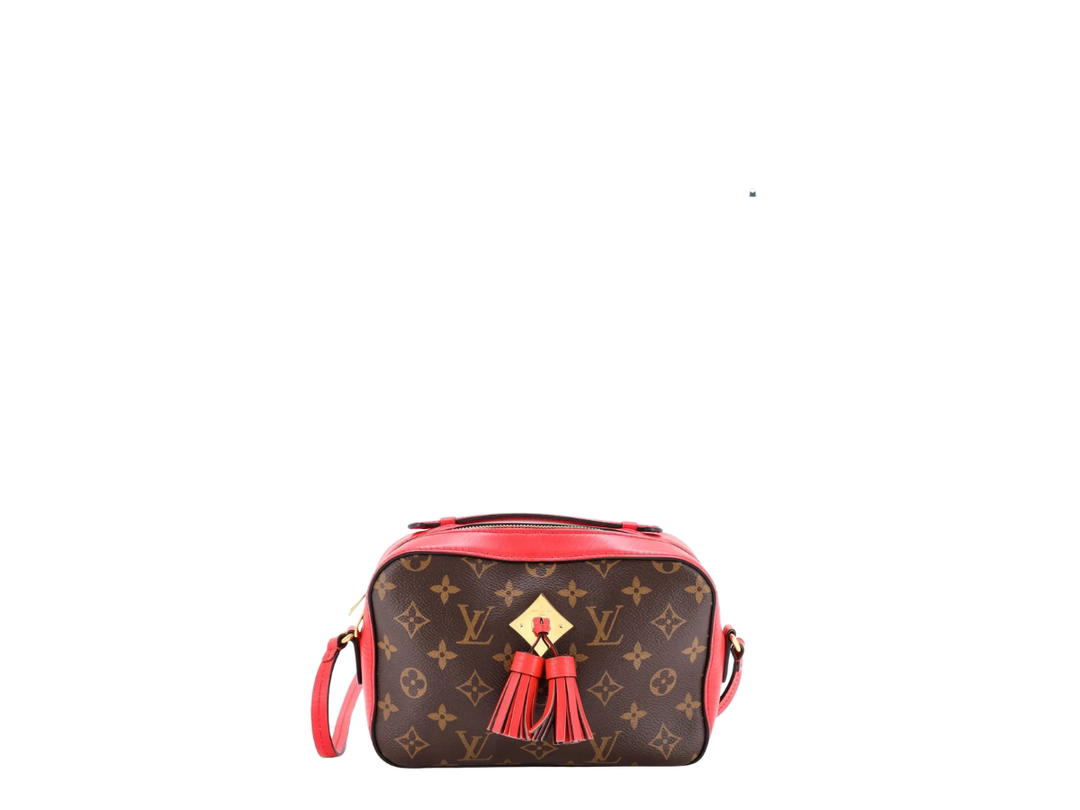 Louis Vuitton Louis Vuitton Saintonge Handbag Red Brown