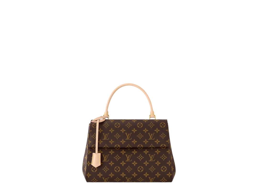 Louis Vuitton Louis Vuitton Cluny MM Brown