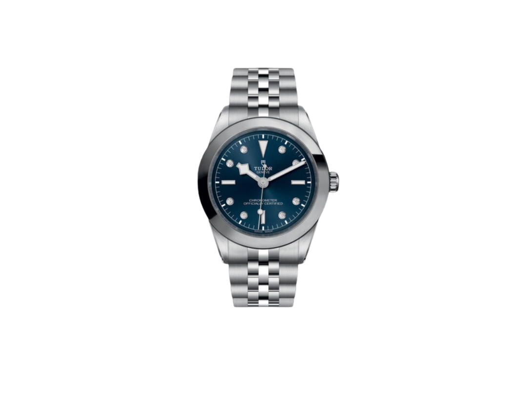 Tudor Tudor Black Bay 39 Silver