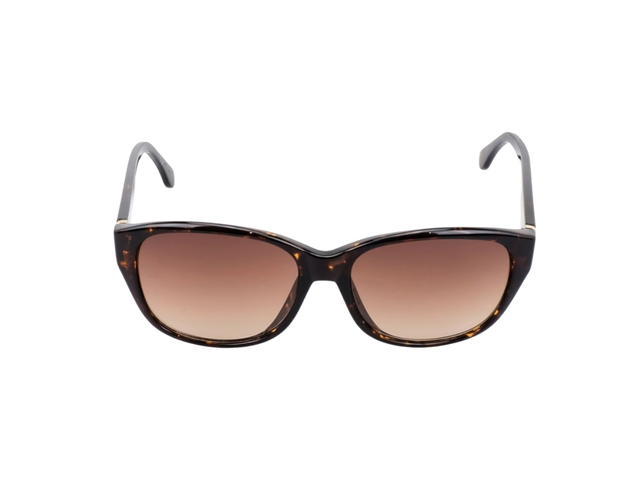 Michael Kors Michael Kors Knox M2790S-206-56 In Havana Acetate-Gold MK Circle With Grey Gradient Lenses - view 2