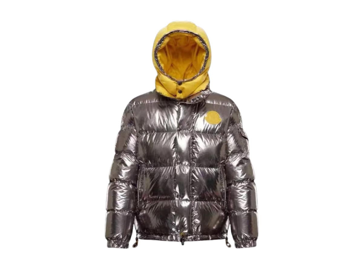 Moncler Moncler Jacket Metal Silver