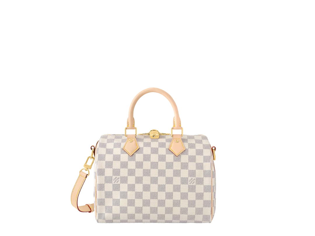 Louis Vuitton Louis Vuitton Speedy Bandoulière 25 Bag Blue Checkered