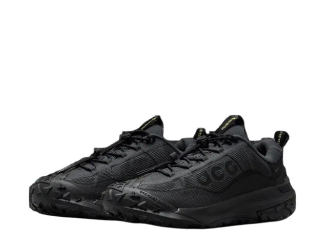 Nike Nike ACG Mountain Fly 2 Low GORE-TEX Dark Smoke Grey Black Anthracite - view 2