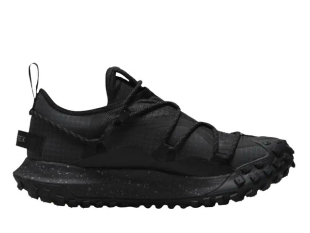 Nike Nike ACG Mountain Fly Low Gore-Tex SE Dark Smoke Grey - view 1