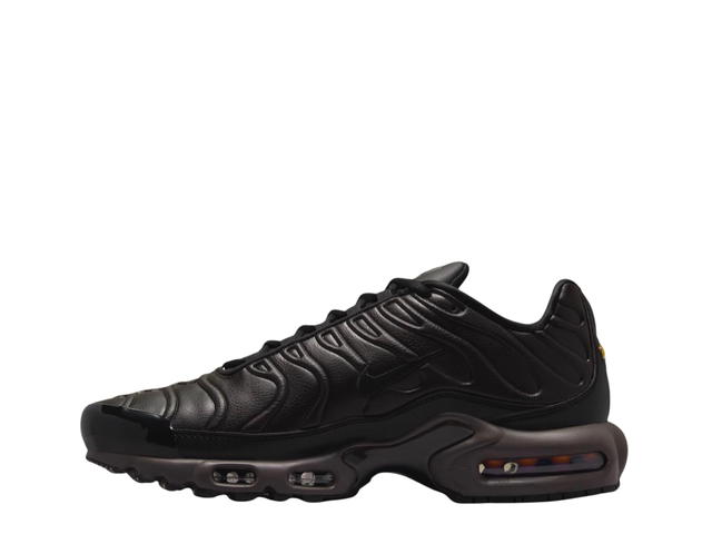 Nike Nike Air Max Plus Premium Black Tea And Petra Brown - view 2