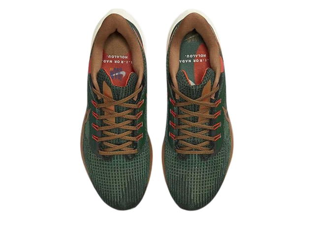 Nike Nike Air Zoom Pegasus 39 A.I.R. Hora Lou - view 5