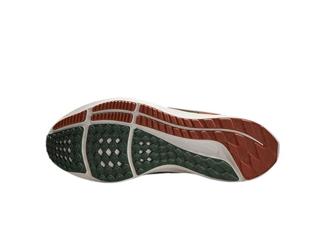 Nike Nike Air Zoom Pegasus 39 A.I.R. Hora Lou - view 6