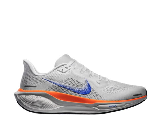 Nike Nike Air Zoom Pegasus 41 FP Blueprint Pack - view 1