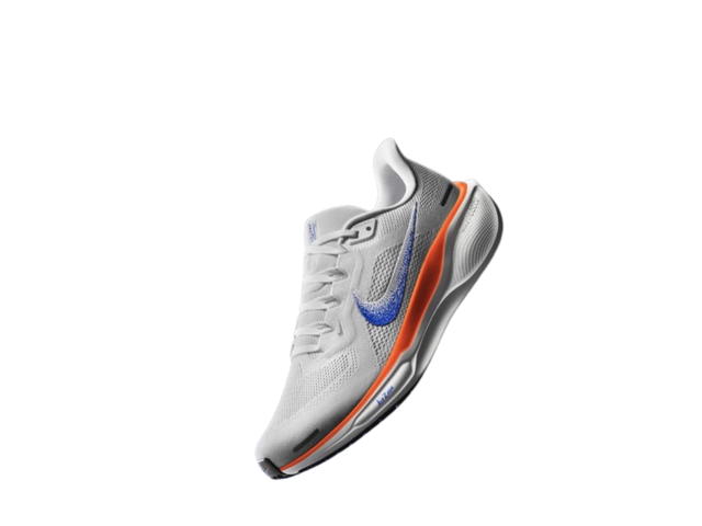 Nike Nike Air Zoom Pegasus 41 FP Blueprint Pack - view 2