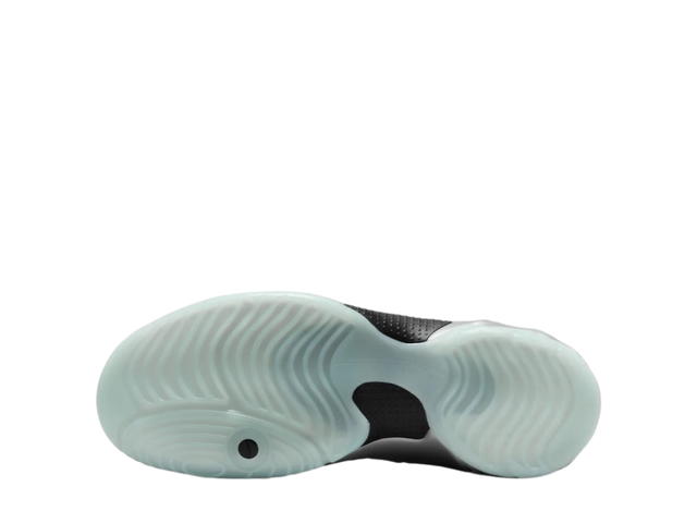 Nike Nike Clogposite Chrome and Black - view 4