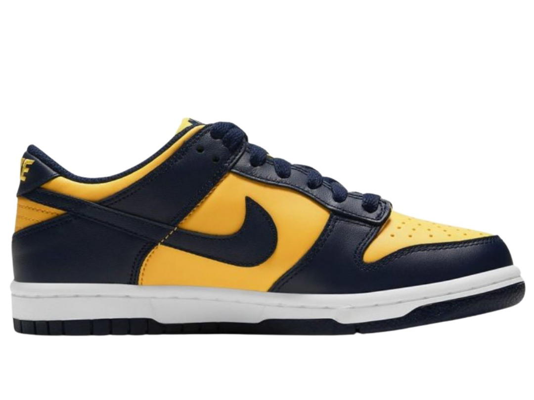 Nike Nike Dunk Low Michigan (2021)