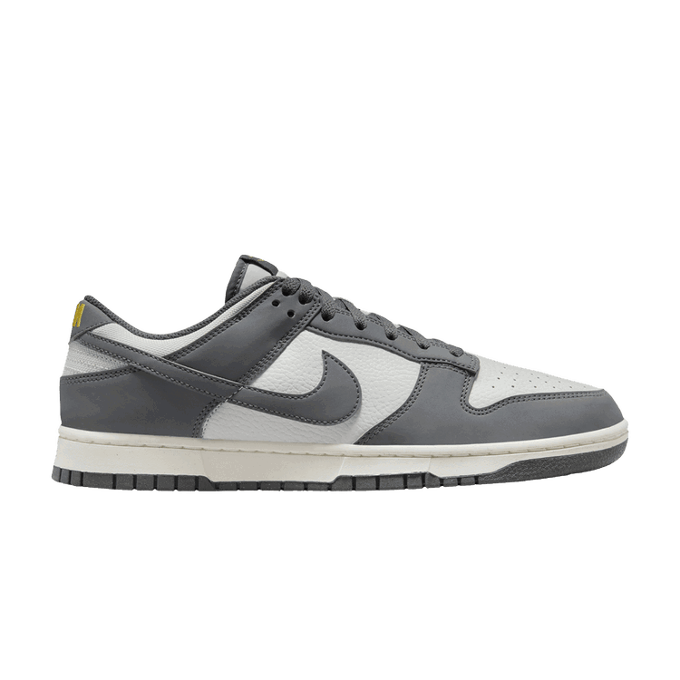 Nike Nike Dunk Low Next Nature 'Iron Grey Lightning'
