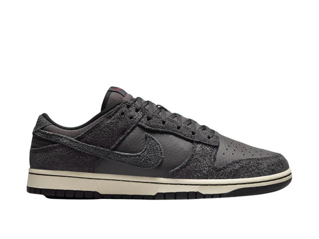 Nike Nike Dunk Low Premium - view 1