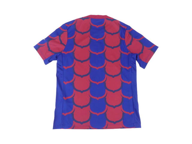 Nike Nike FC Barcelona Academy Pro SE Dri-FIT Soccer Pre-Match Top Deep Royal Blue - view 2