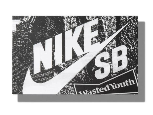 Nike Nike SB Dunk Low x Wasted Youth (Special Box) - view 3