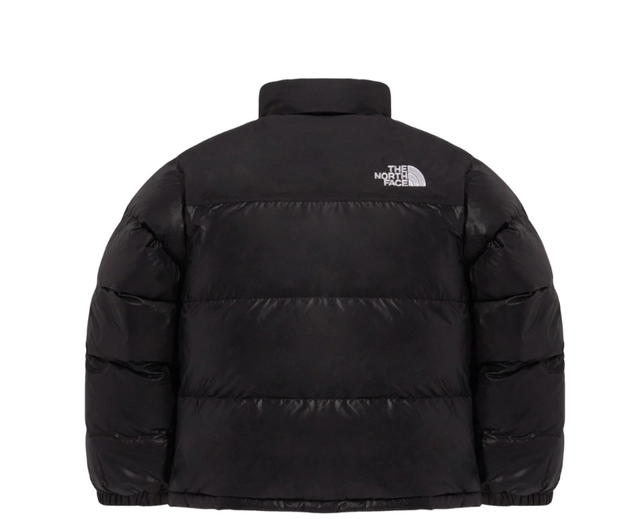 The North Face The North Face Nuptse On Ball Jacket Black - view 2