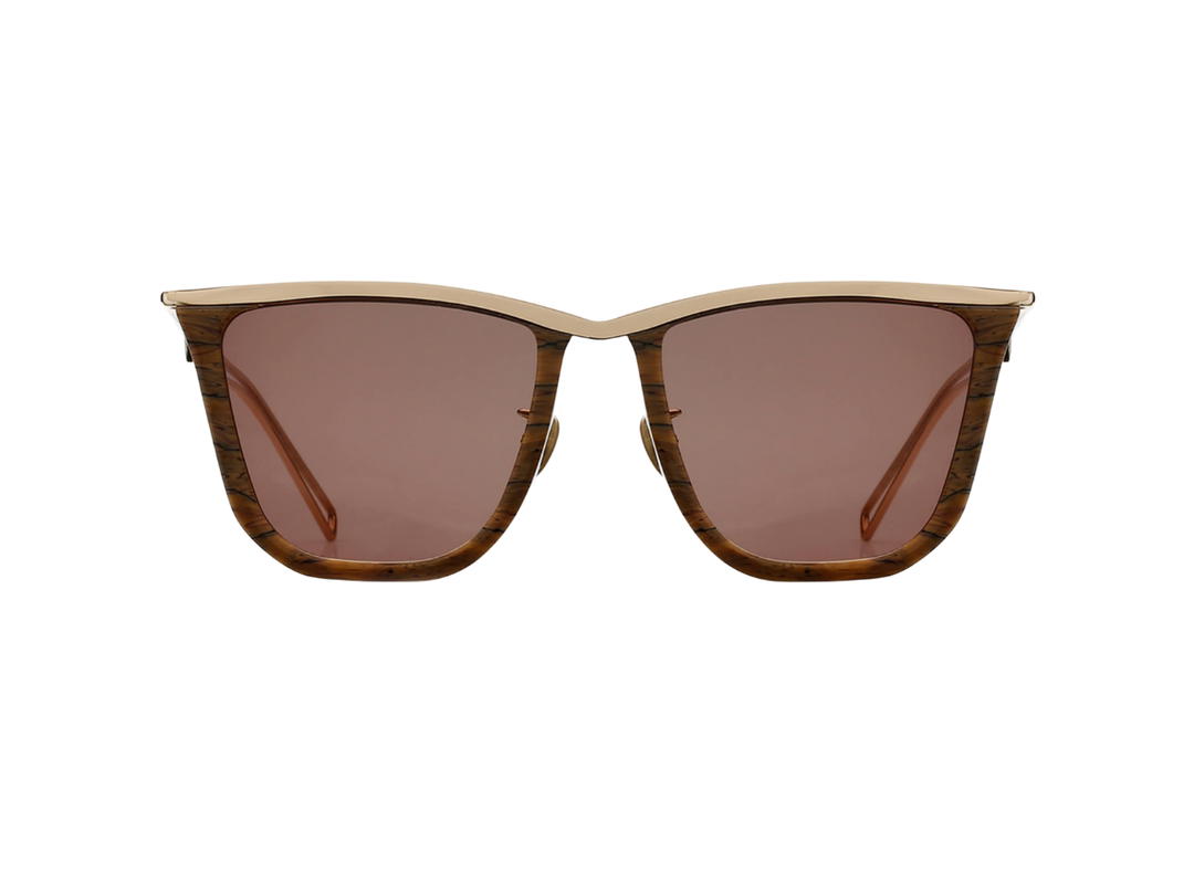 Projekt Produkt Projekt Produkt RP-04-C11G Sunglasses In Dark Brown-Gold Acetate-Stainless Steel Frame With Brown Lenses